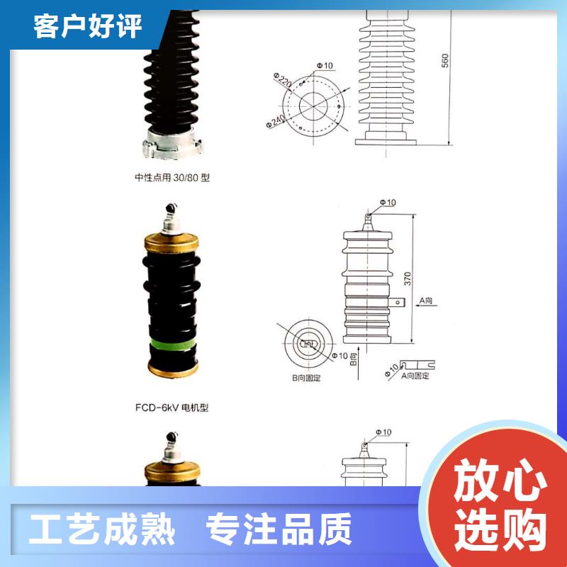 阀式避雷器FZ2-20生产厂家品质优良