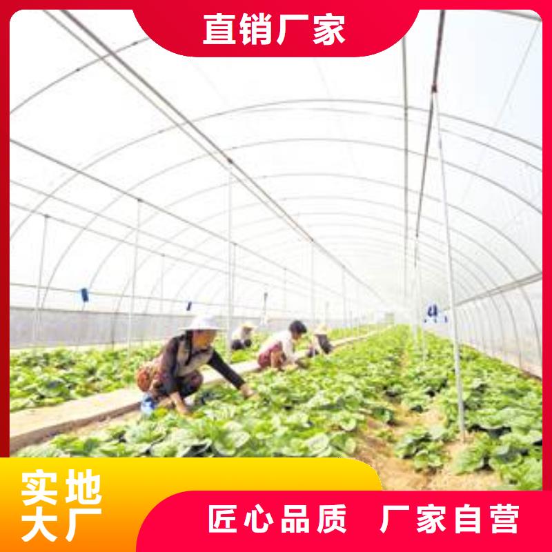 种植大棚零售2024出厂价