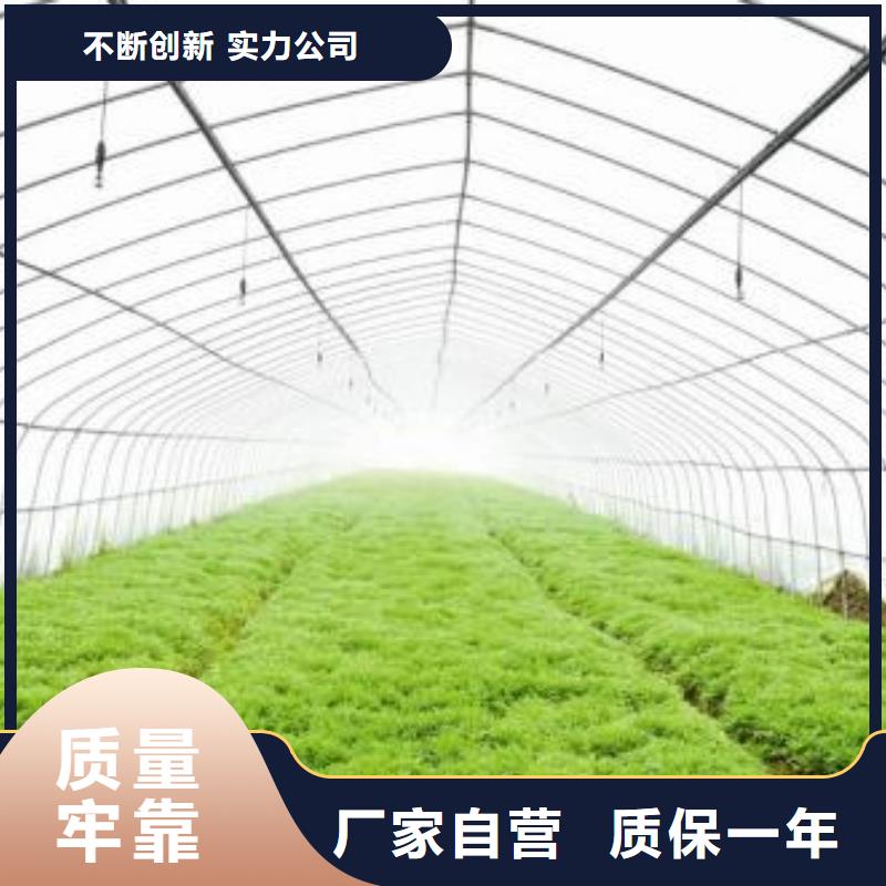 狮子山区绿色植物大棚管价格免费查询、质量好