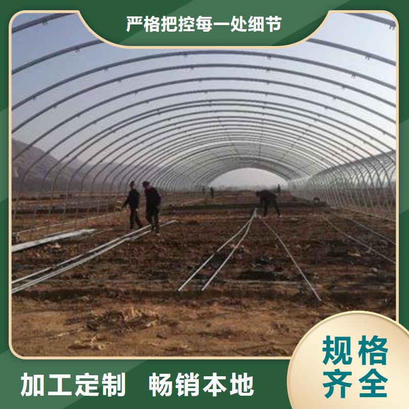 大棚管常用指南2024已更新附近供应商