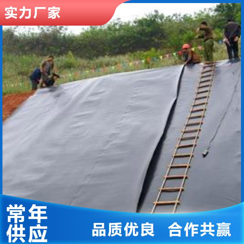 公路基础加固用防渗膜当地货源