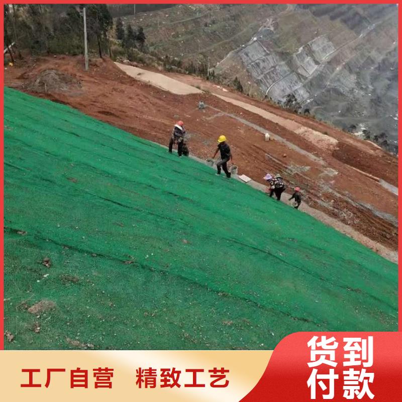 em4三维植被网植草护坡固土定制定做