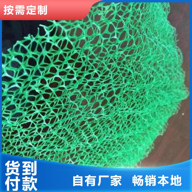 三维植被网厂家供应供应三维网当地厂家