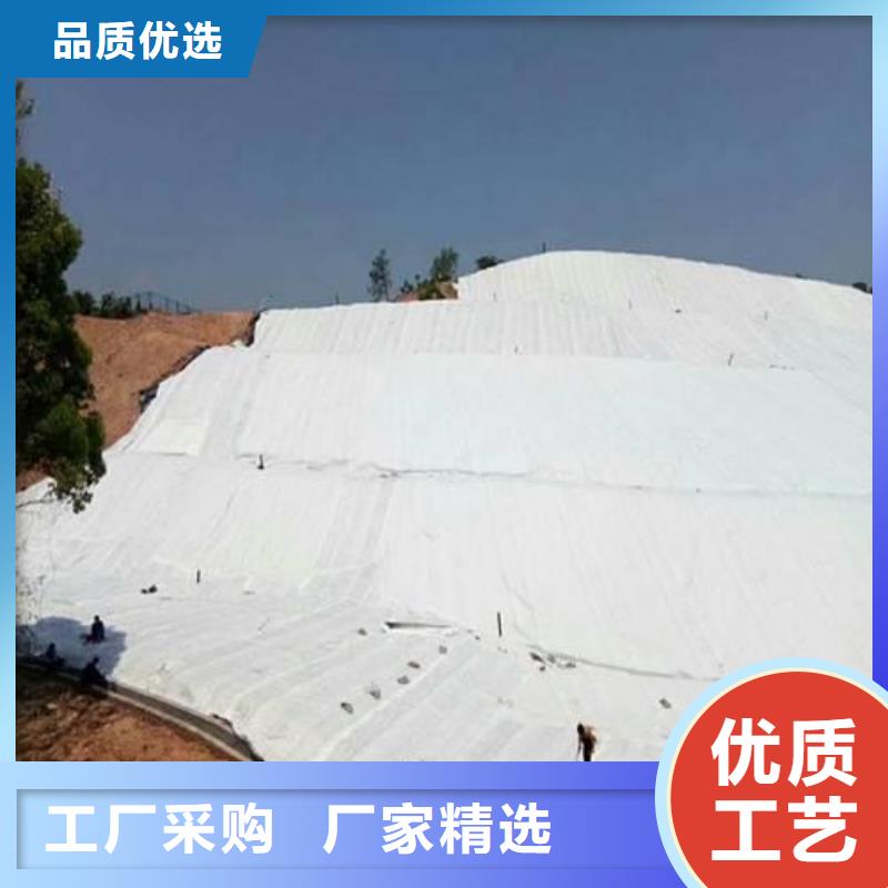 防渗土工布厂家现场指导施工型号齐全