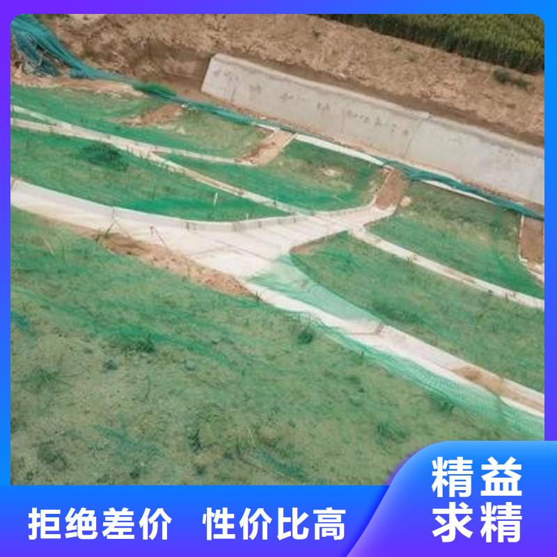 三维植被网规格型号_全国供应本地生产厂家