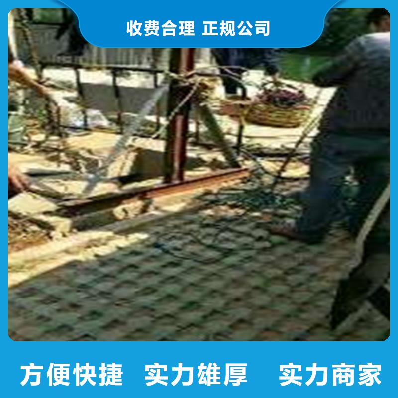 水下沉管工具图片实力雄厚