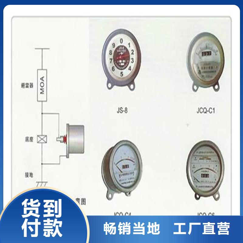 JS-85避雷器计数器满足多种行业需求