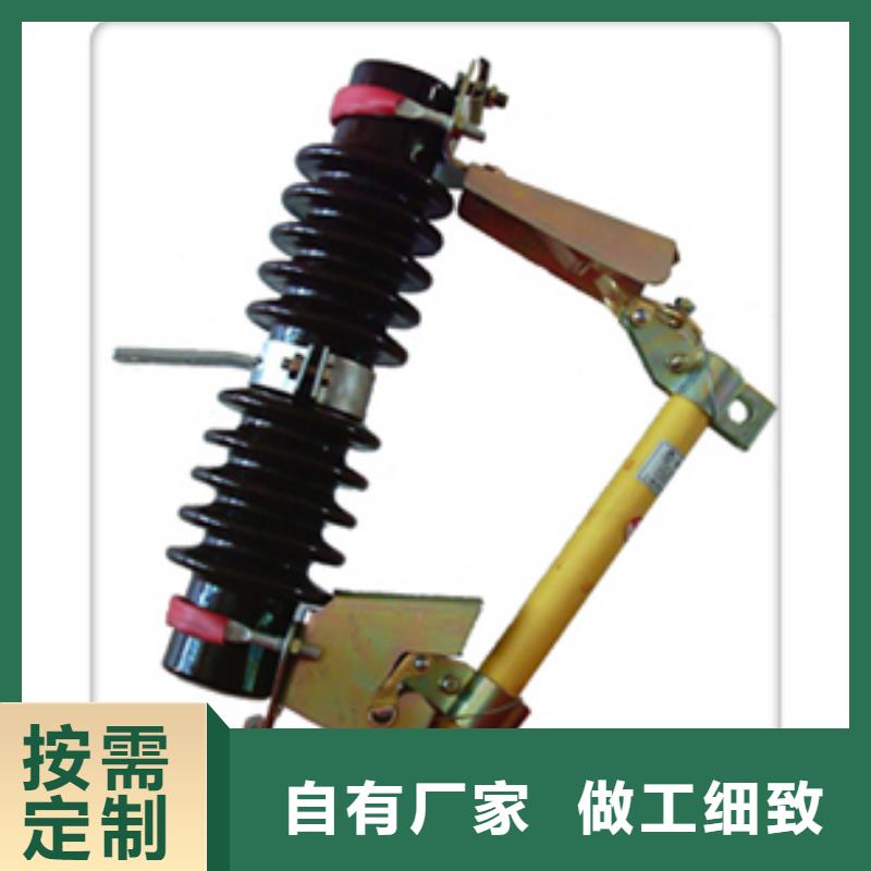 XS-10/100A跌落开关樊高附近供应商