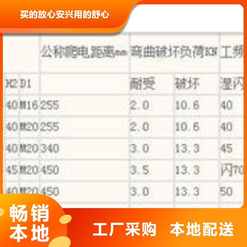 ZB-12Y高压绝缘子樊高电气技术先进