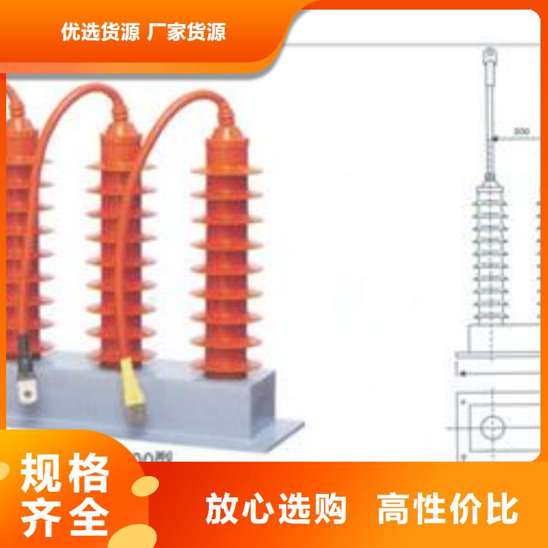 中性点过电压保护器避雷器用保护器附近生产商