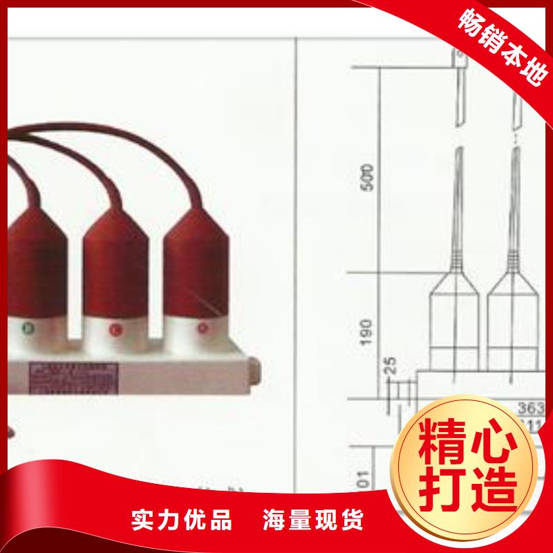 SCGB-A-12.7F/280W2中性点氧化锌避雷器本地货源