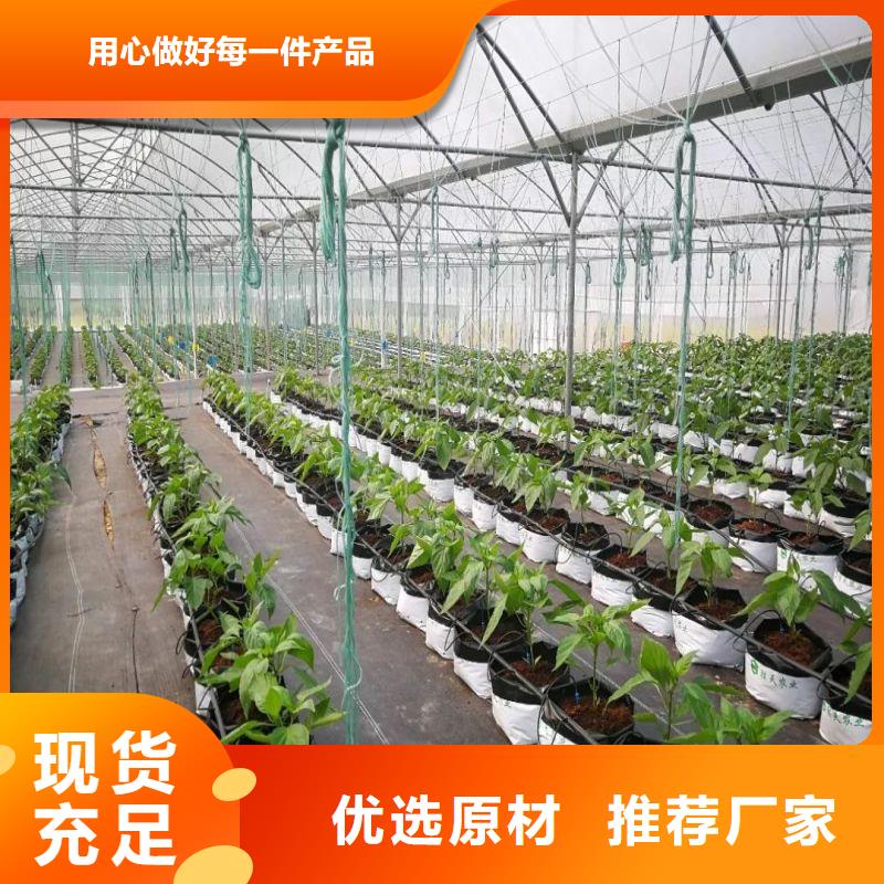 孟津县蔬菜连体温室大棚管怎么买供您所需