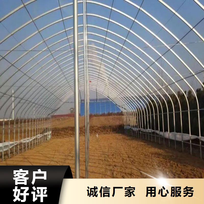 更合镇葡萄用连体大棚钢管售卖生产型