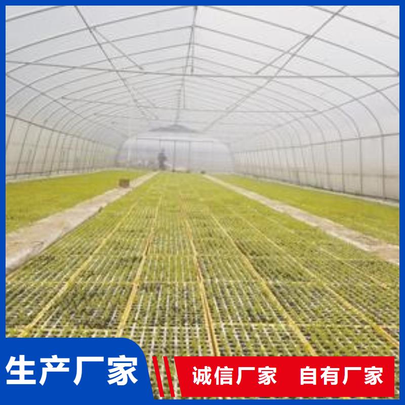 上林县连栋大棚管质量可靠按需定做