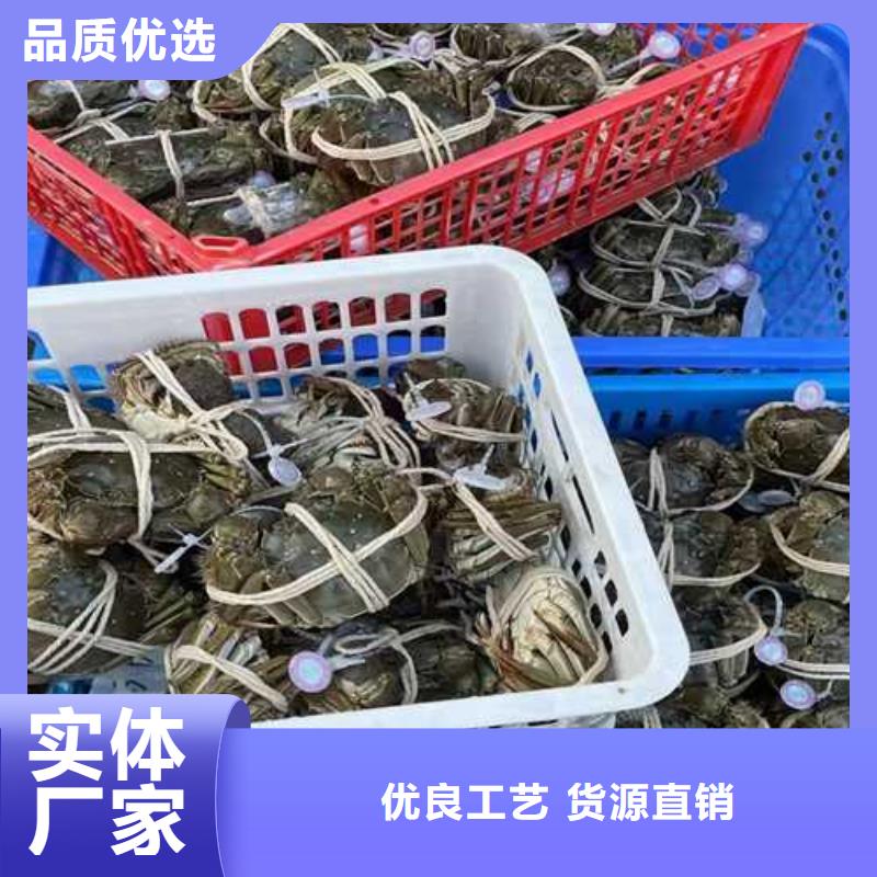 诚信为本大闸蟹厂家专业品质