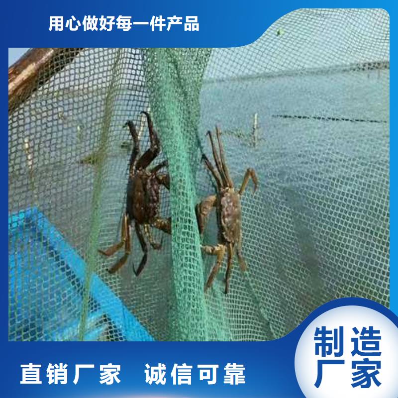 邓州阳澄湖大闸蟹快递到家同城品牌