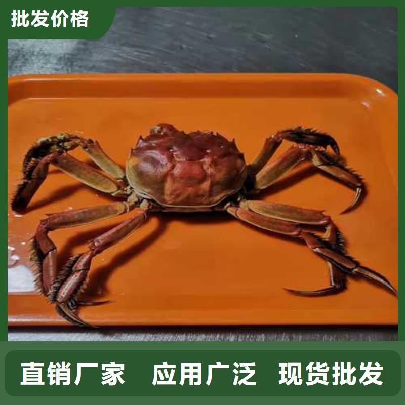 网上订购大闸蟹厂家新品