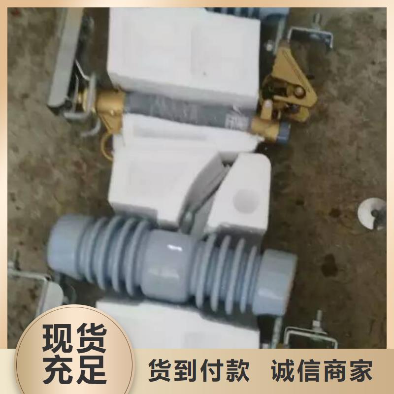 -户外高压交流跌落式熔断器HRW12-15KV/100A附近生产厂家