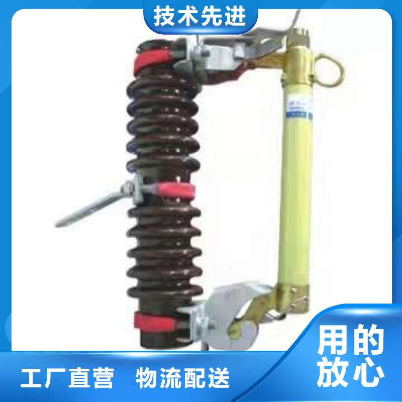 【】跌落式熔断器RW11-10F/100精品优选