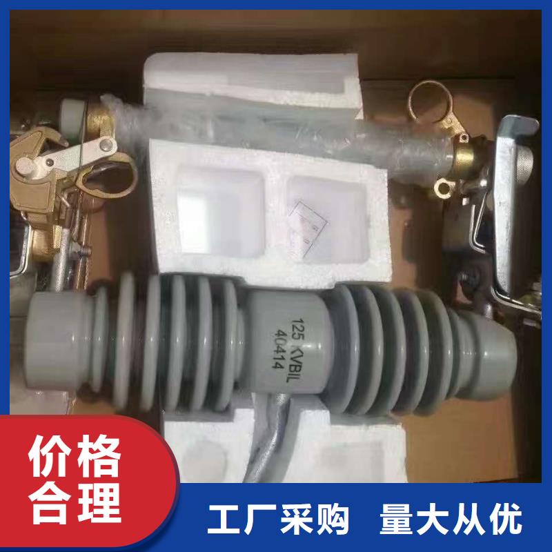 -跌落式熔断器RW11-12KV-200A买的放心安兴用的舒心