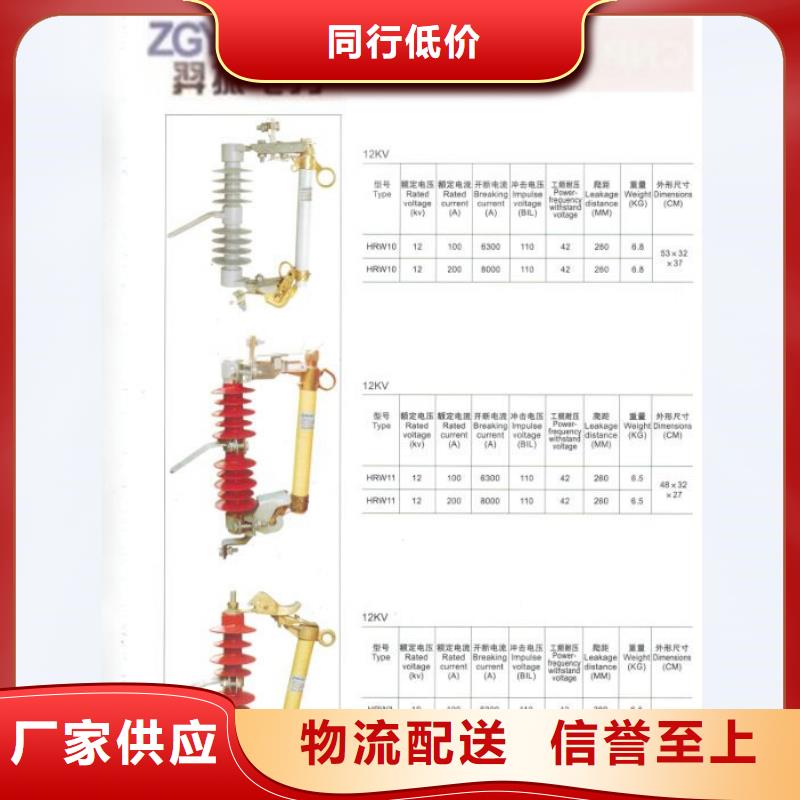 【】跌落式熔断器HRW10-10KV-100A同城服务商