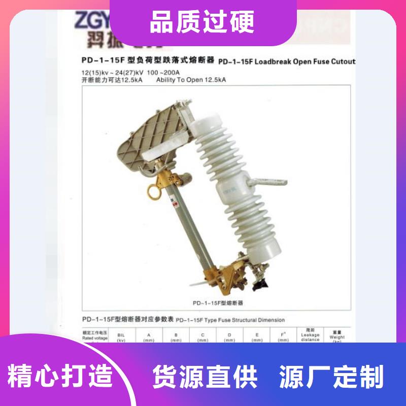 高压熔断器/RW3-12KV/100A品质有保障