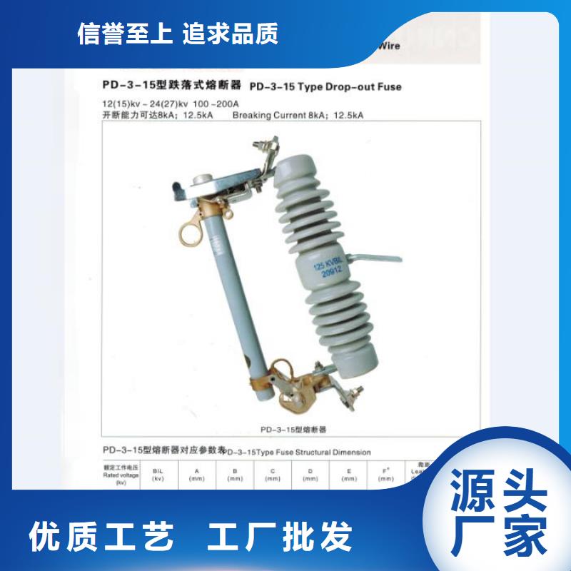 高压熔断器/HRW3-10KV/100A当地品牌