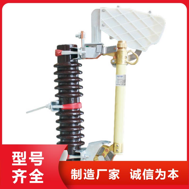 -高压熔断器/HRW11-10KV/100附近品牌