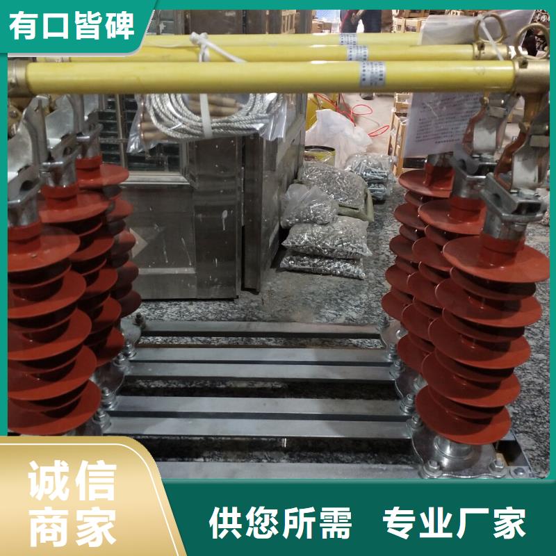 -高压熔断器/AC20kV/100A/跌落式/复合材料技术先进