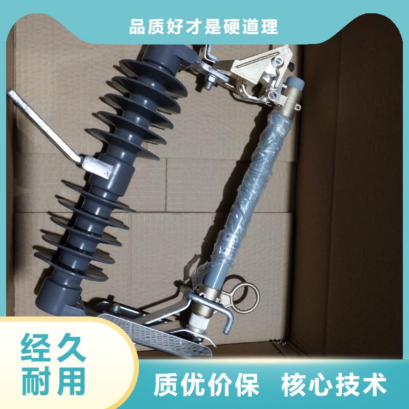 高压熔断器/HRW12-12KV/100质量好