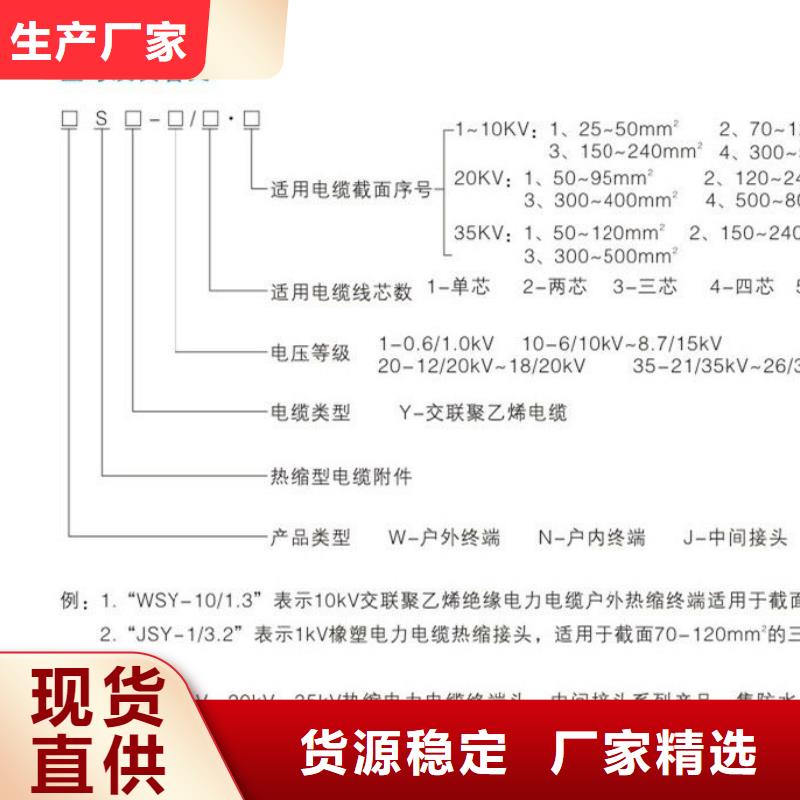 -电缆终端头NRSZ-10/3.2当地厂家