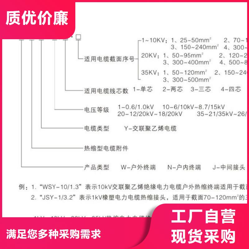 【】电缆中间接头RSNY-3/4-10KV当地品牌