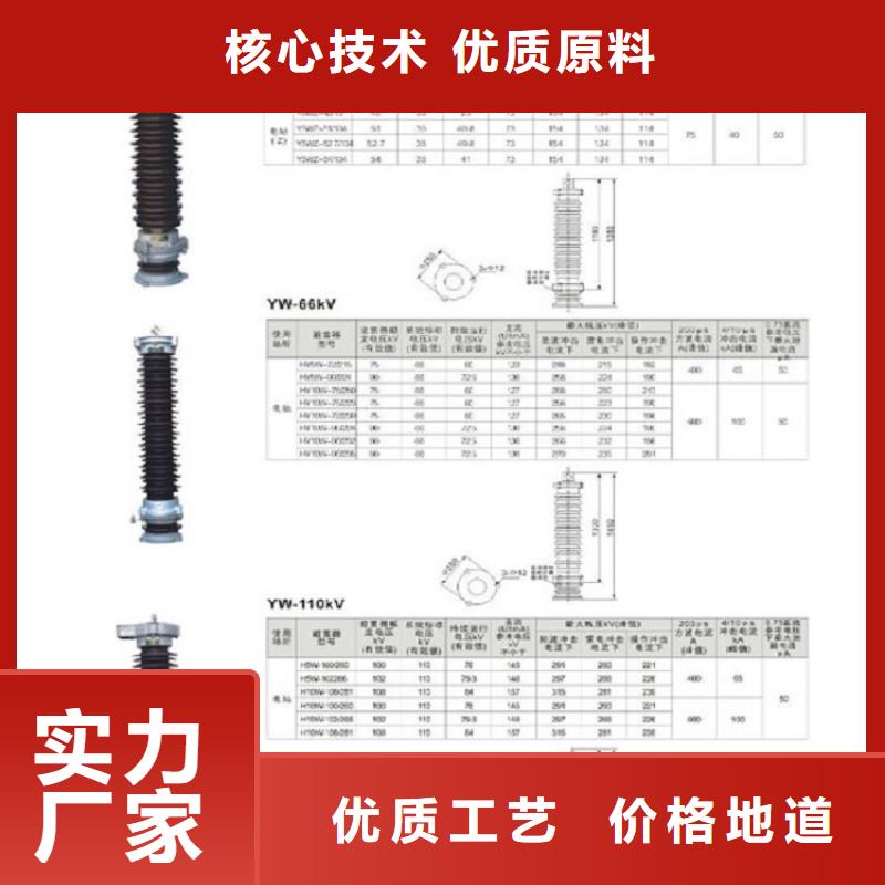 避雷器Y10W-100/260质量看得见