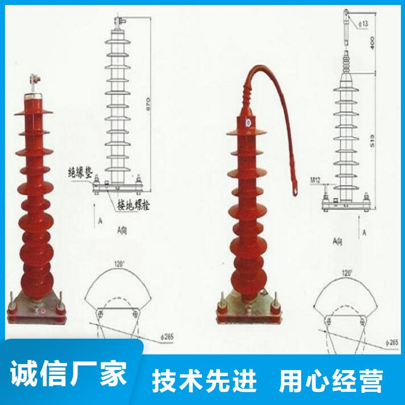 避雷器YH10CX-102/260J【羿振电气】厂家直销大量现货