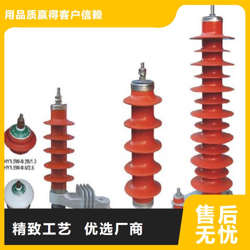 避雷器Y5W5-100/260S【羿振电气】自营品质有保障