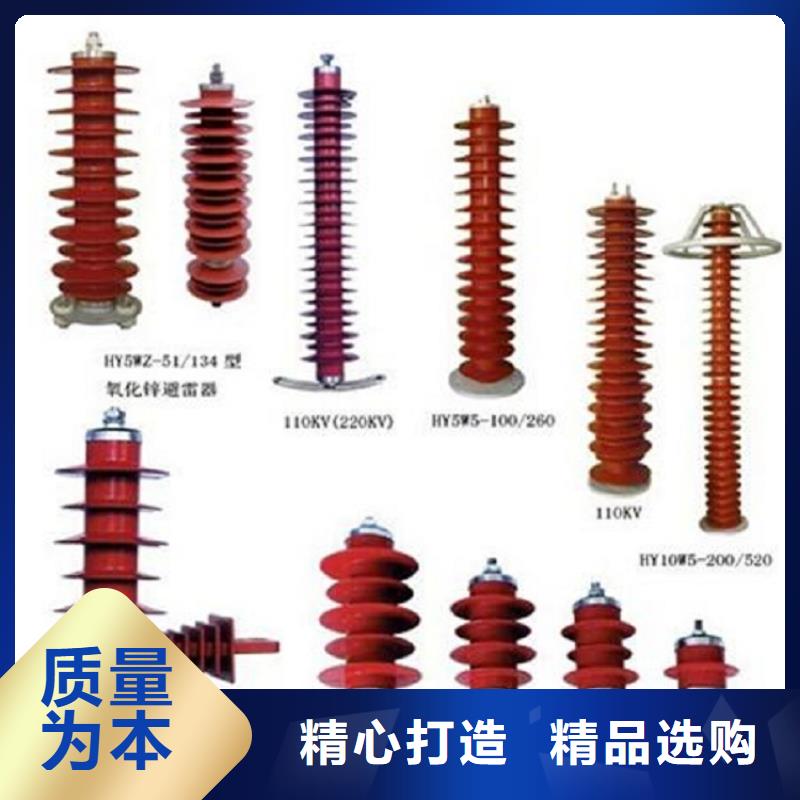 【羿振电气】避雷器YH5WZ-51/134TLQ底座式，带放电计数器用心做好细节