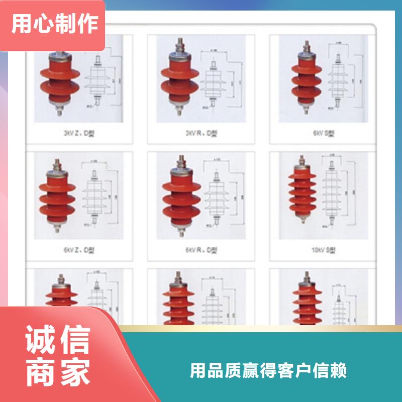 【】阀式避雷器FZ-35支持定制