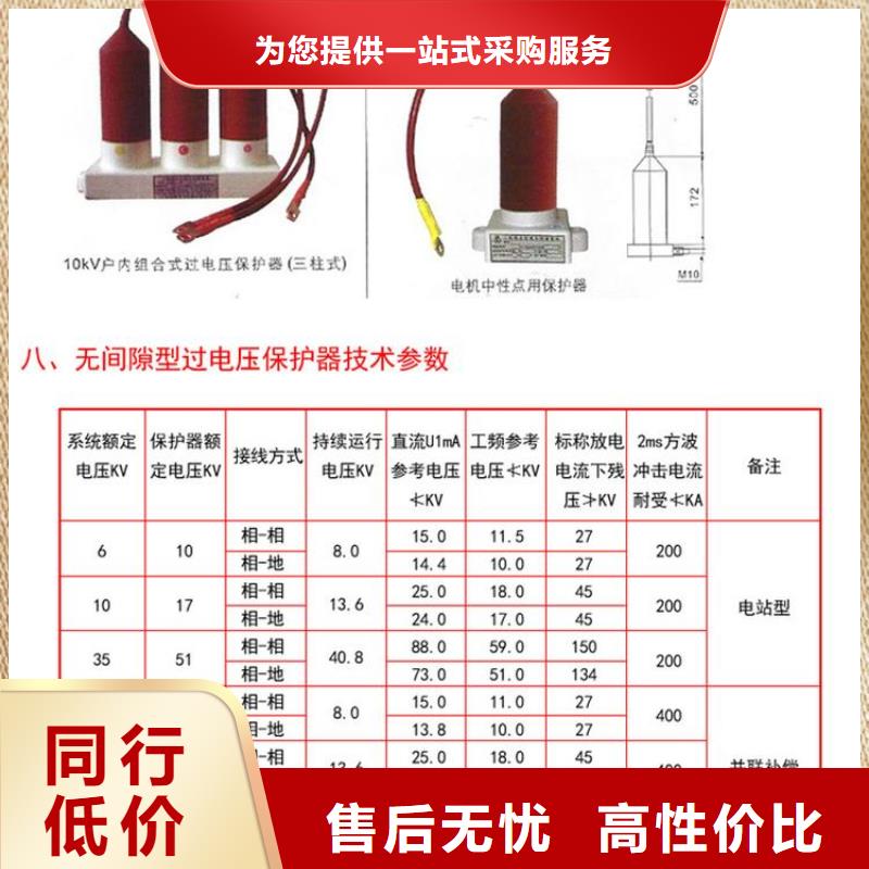 【】〖过电压保护器〗BSTG-A-42种类齐全本地供应商