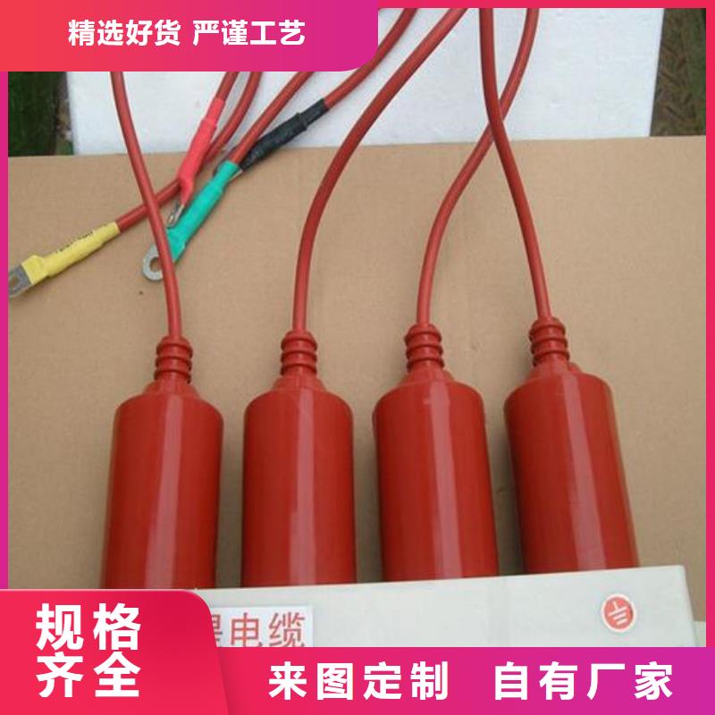 【】〖过电压保护器〗BSTG-B-12.7F/100W1欢迎来电使用寿命长久