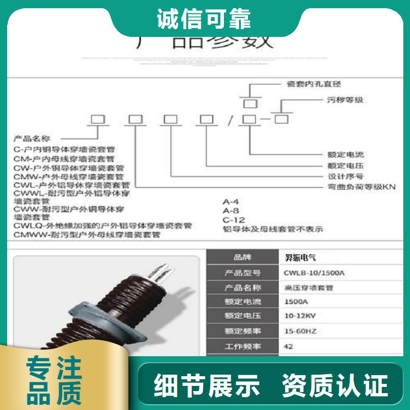 【高压穿墙套管】CWWL-24/1500A同城经销商