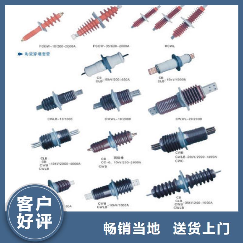 穿墙套管/CWWL-40.5KV/3150A-4浙江羿振电气有限公司细节展示