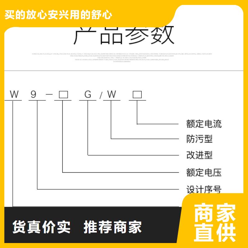 【隔离开关】HGW9-10G(W)/630安心购