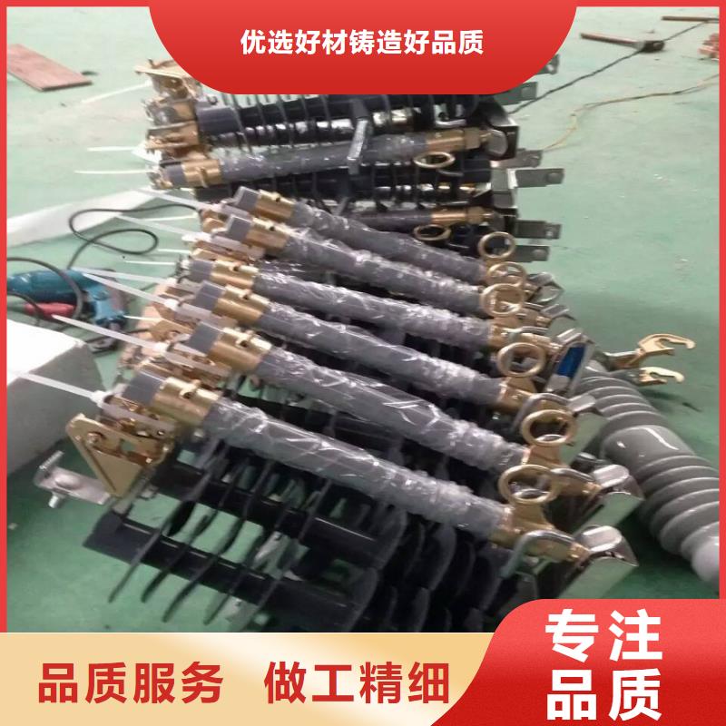 【熔断器合格供应商】羿振电力HRW12-10KV/100A量大从优