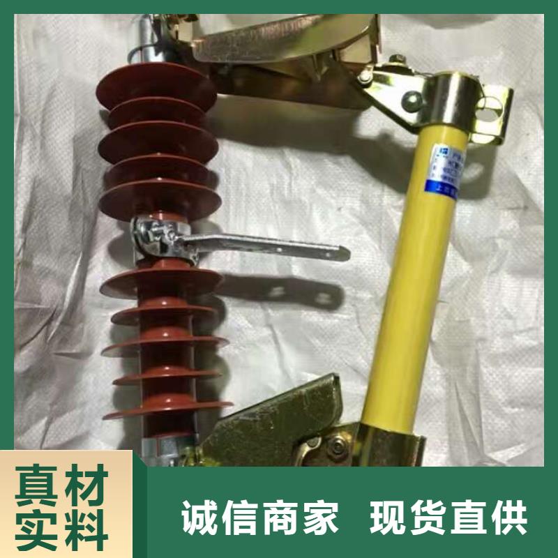 山东-户外高压交流跌落式熔断器HRW12-15KV/100快捷的物流配送