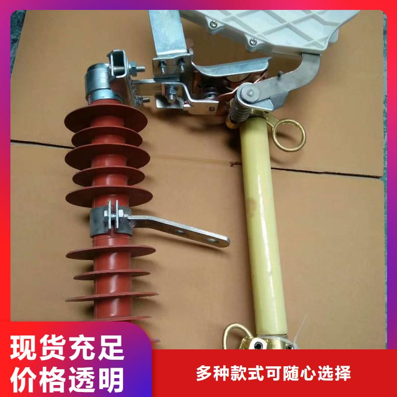 高压熔断器/RW10-12KV/100本地品牌