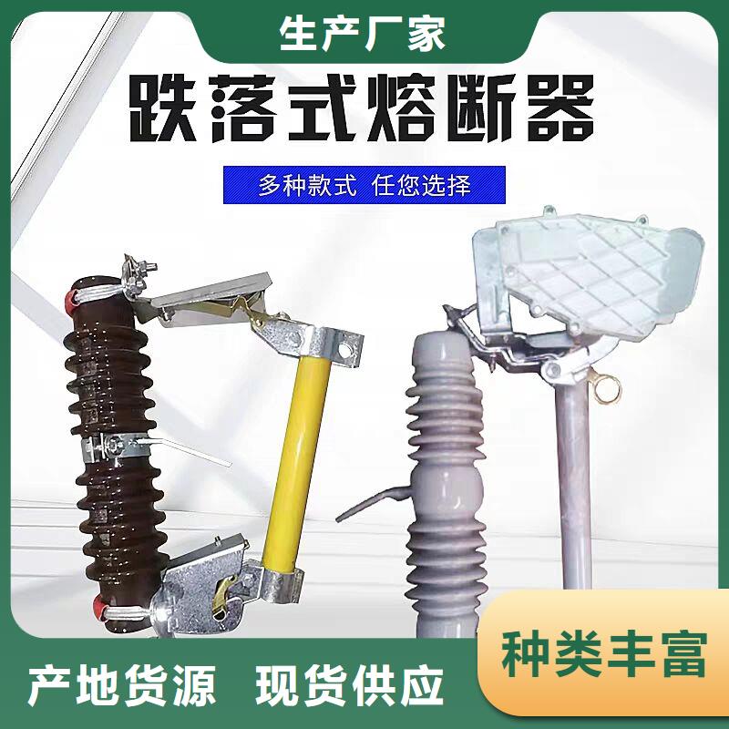 高压熔断器/RW12-10KV/100A源头厂商