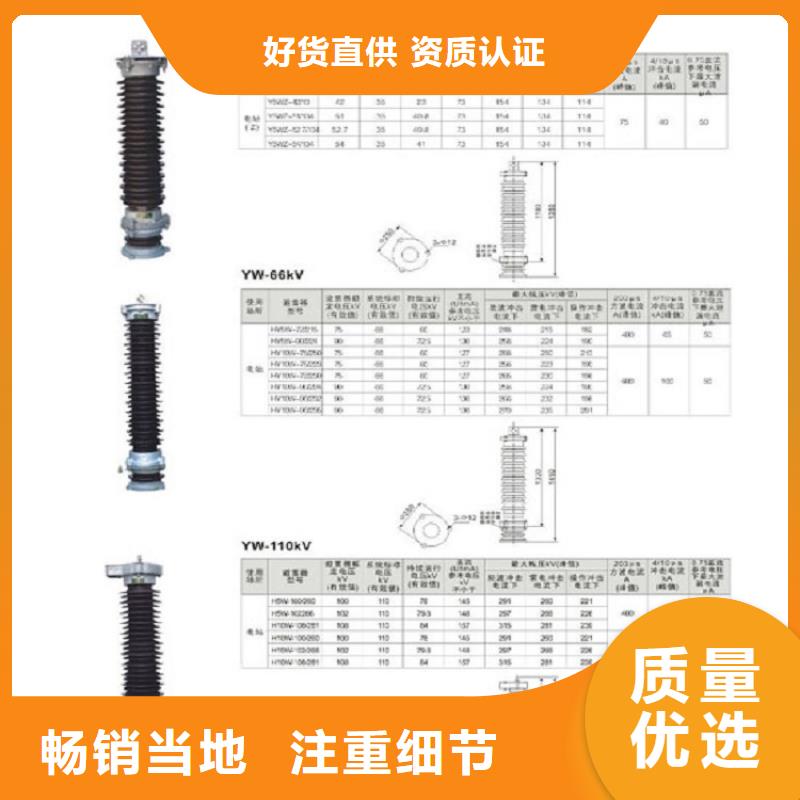 高压熔断器-RW12-15F/100A【浙江羿振电气有限公司】品质服务诚信为本