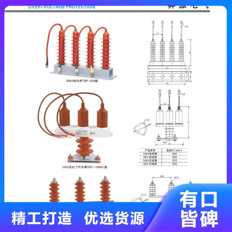 【】交流避雷器.AC66kV.96kV.硅橡胶.250kV.带间隙专注产品质量与服务