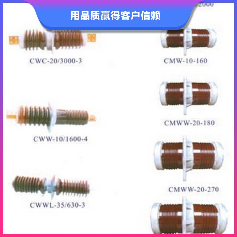 【】FZSW4-24/8出厂严格质检