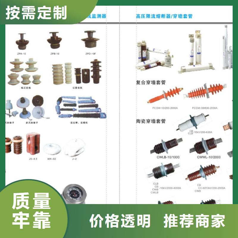 永磁真空断路器ZW32M-12G本地生产商